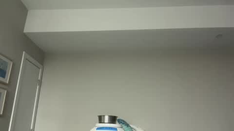 Horny and Bicurious online show from 7, 4, 2026