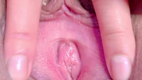 Snapshot of orchidekitty chatting on 16, 5, 2026 orchidekitty online show from 16, 5, 2026