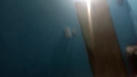 osogor online show from 14, 1, 2026