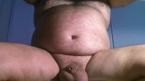 Oso Licencioso online show from 31, 3, 2026