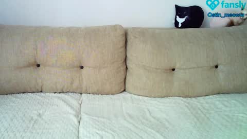 Snapshot of ostin_meoww chatting on 8, 3, 2025 Ostin online show from 8, 3, 2025