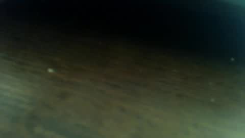 Lucas online show from 5, 3, 2026