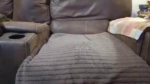 outdoorsmanmark71 online show from 10, 9, 2025