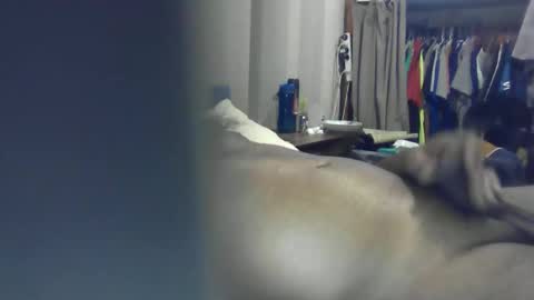 ozchaad online show from 13, 1, 2026