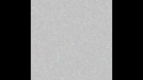 Snapshot of p0rsche911 chatting on 12, 12, 2024 Alice online show from 12, 12, 2024