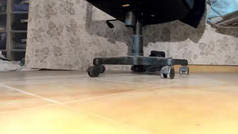 Snapshot of pablomenesssl chatting on 17, 12, 2025 Pablo Meness online show from 17, 12, 2025