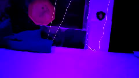 Snapshot of pablouyu chatting on 22, 12, 2024 pablouyu online show from 22, 12, 2024
