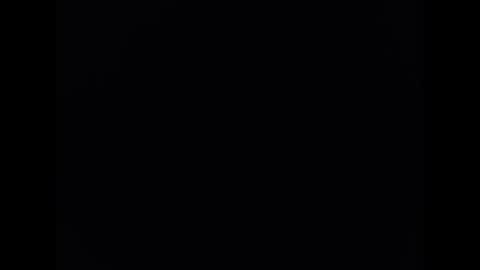   PALA online show from 18, 1, 2025