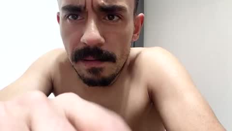   PALA online show from 8, 1, 2026