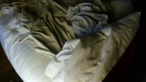 pale001zan online show from 29, 9, 2025