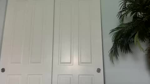 Snapshot of palmflaco chatting on 11, 10, 2025 palmflacco online show from 11, 10, 2025