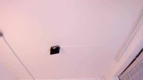 Paloma  online show from 3, 2, 2025