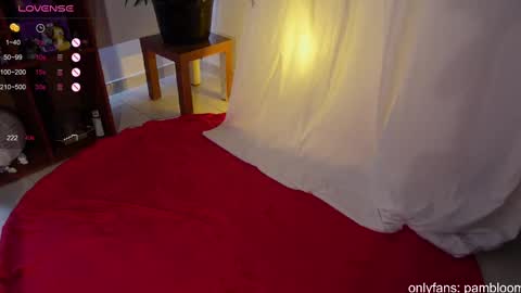     online show from 8, 3, 2025