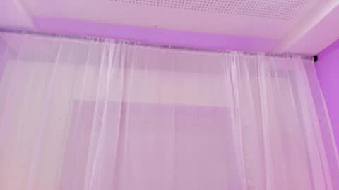  P A M  online show from 12, 3, 2025