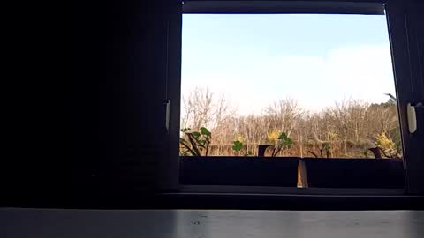 angel hris online show from 3, 4, 2026