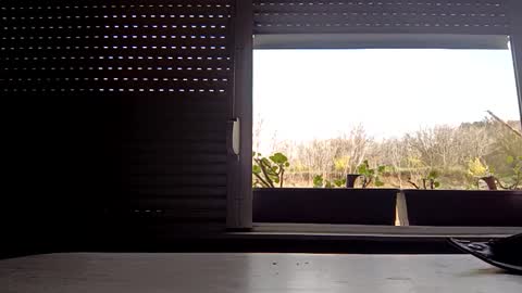 angel hris online show from 14, 4, 2026