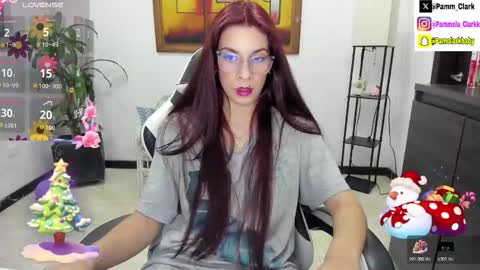 pammela clark online show from 6, 11, 2025