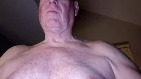 panda320 online show from 26, 3, 2026