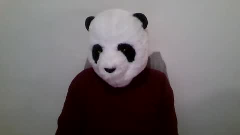 Snapshot of panda_feliz chatting on 23, 1, 2025 Panda online show from 23, 1, 2025