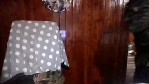 panditernurita12 online show from 14, 3, 2026