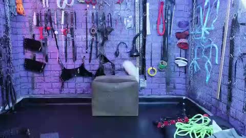 Snapshot of pandoranez chatting on 14, 2, 2025 PandoraNez online show from 14, 2, 2025