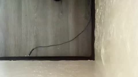 Snapshot of pantieplaytime52532 chatting on 25, 12, 2024 pantieplaytime52532 online show from 25, 12, 2024