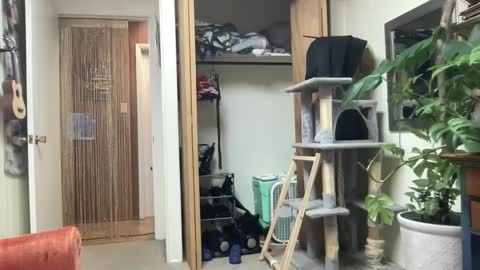 Pantiesofthefae online show from 13, 10, 2025