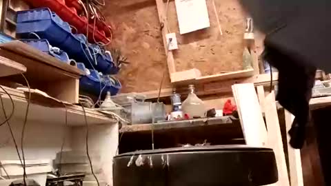 Snapshot of papajb70 chatting on 27, 1, 2025 papajb70 online show from 27, 1, 2025