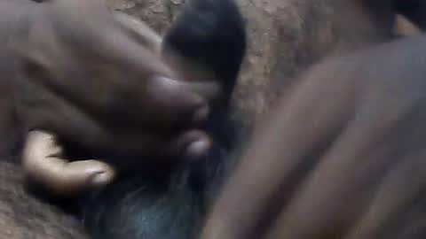 pappi_rambo online show from 29, 7, 2026