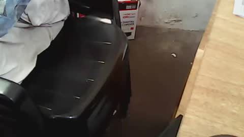 Snapshot of pareja201722 chatting on 14, 12, 2024 pareja201722 online show from 14, 12, 2024