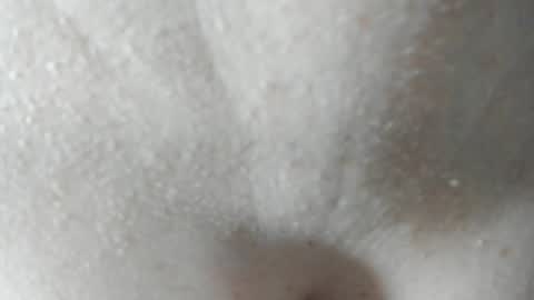 sara and andreu online show from 7, 12, 2024