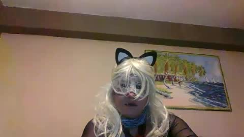 aventuras en pelotas online show from 12, 3, 2025