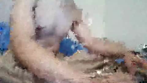 Snapshot of parejitafiel2309 chatting on 9, 11, 2025 parejitafiel2309 online show from 9, 11, 2025