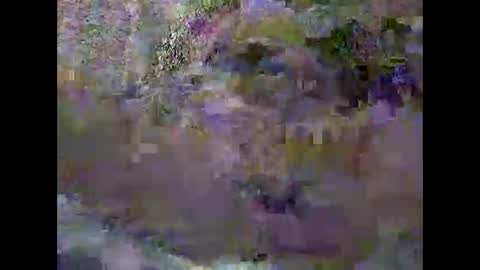 anytimeuwant online show from 3, 2, 2026