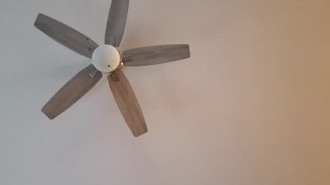 patrick247288 online show from 12, 1, 2025