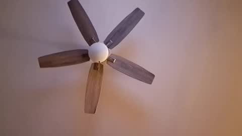 patrick247288 online show from 17, 9, 2025