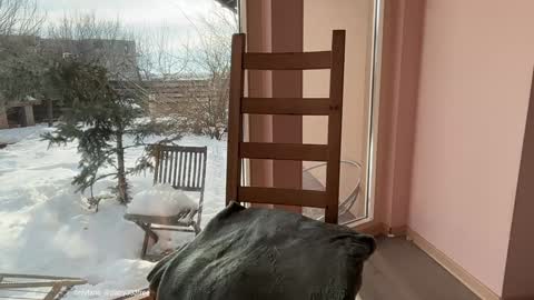 Snapshot of patry333 chatting on 20, 2, 2026 Andreea online show from 20, 2, 2026