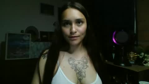 Snapshot of pau_cat chatting on 4, 6, 2026 Pau online show from 4, 6, 2026