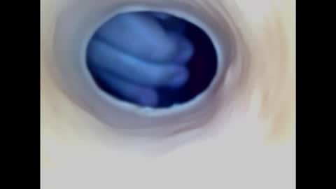 Paula 18 Aninhos online show from 1, 2, 2025