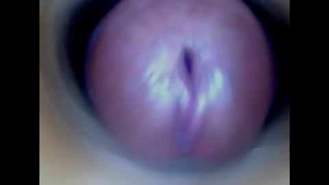 Paula 18 Aninhos online show from 21, 2, 2026