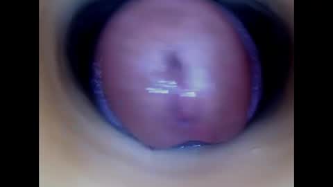 Paula 18 Aninhos online show from 12, 5, 2026