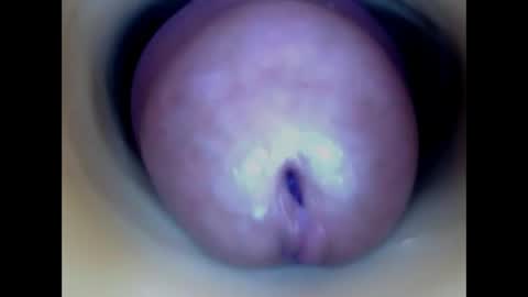 Paula 18 Aninhos online show from 13, 5, 2026