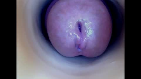 Paula 18 Aninhos online show from 14, 5, 2026
