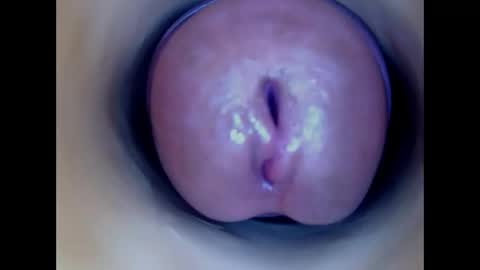 Paula 18 Aninhos online show from 17, 5, 2026