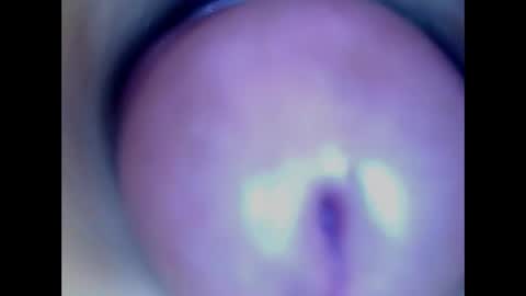 Paula 18 Aninhos online show from 18, 5, 2026