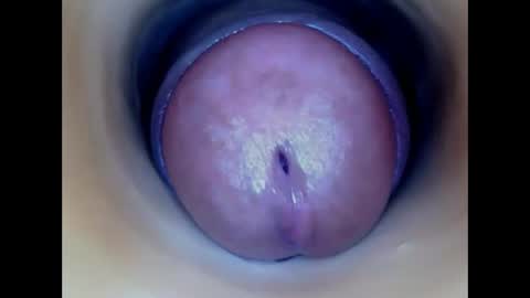 Paula 18 Aninhos online show from 22, 5, 2026