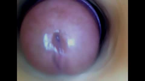 Paula 18 Aninhos online show from 27, 5, 2026
