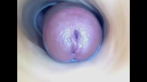 Paula 18 Aninhos online show from 31, 5, 2026