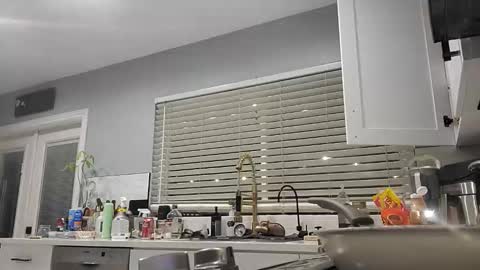 Pavone splash online show from 21, 12, 2025