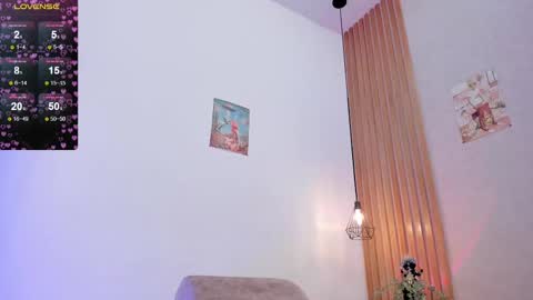Snapshot of pawggirl18 chatting on 1, 3, 2025 Dani online show from 1, 3, 2025